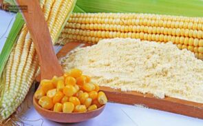 رژیم غذایی مک دوگال یک رژیم بر پایه مصرف نشاسته و عدم مصرف چربی ها است.