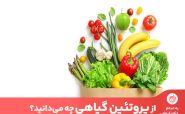 پروتئین گیاهی به برخی مواد غذایی گیاهی گفته می‌شود که درصد بالای پروتئین را در خود دارند.