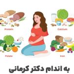 مقاله تغذیه دوران بارداری