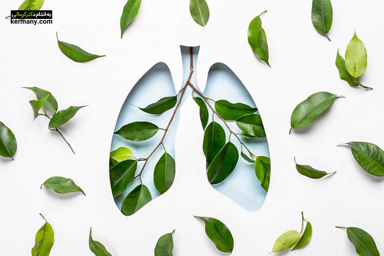جینسینگ در کاهش بیماری مزمن انسدادی ریه با نام اختصاری COPD که باعث التهاب راه هوایی فوقانی ریه می‌شود، تأثیر مهمی دارد.