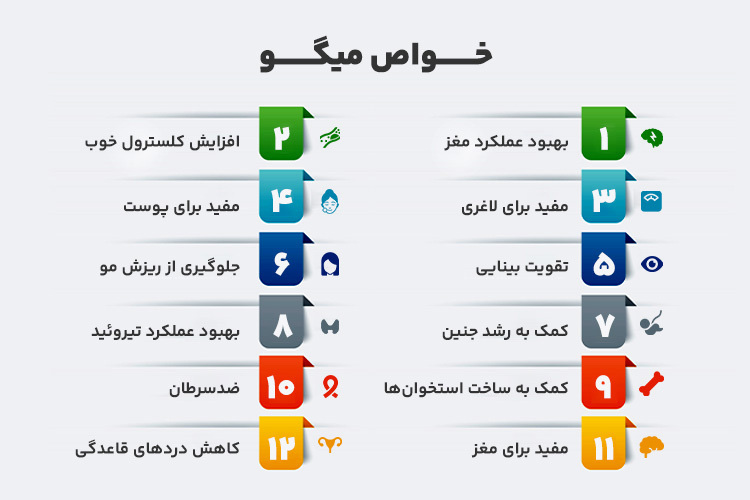 اینفوگرافیک خواص میگو