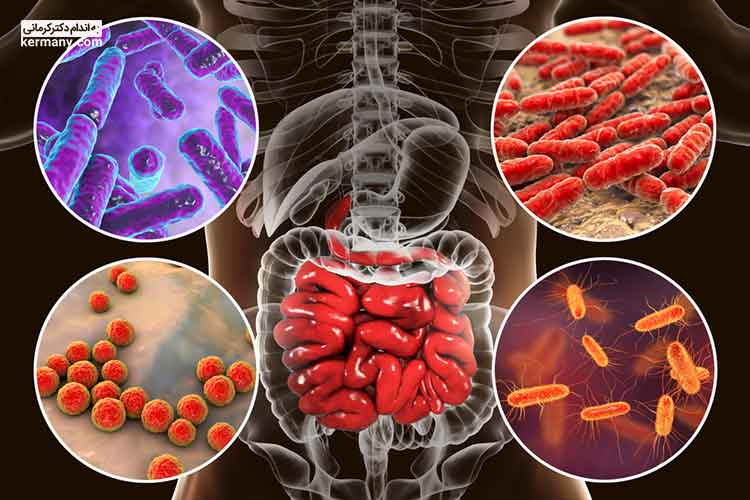 میکروبیوم را می‌توان به عنوان یک جامعه متنوع از ارگانیسم‌ها، مانند جنگل در نظر گرفت.