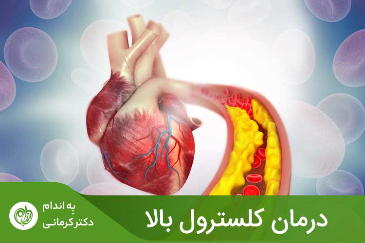 بدن برای ادامه زندگی، به مقداری کلسترول نیاز دارد اما کلسترول بیش از حد می‌تواند خطر ابتلا به بیماری‌های قلبی را افزایش دهد.