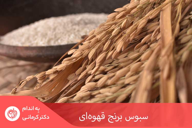 روغن سبوس برنج به عنوان یک روغن سالم در ژاپن، آسیا و به ویژه هندوستان، از محبوبیت بالایی برخوردار است.