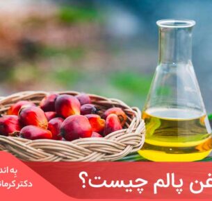 روغن پالم یک روغن گیاهی خوراکی است که از میوه درختان نخل روغنی به دست می‌آید.