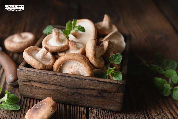 قارچ شیتاکه نوعی قارچ خوراکی است که معمولا برای رشدش آب و هوای گرم و مرطوب جنوب شرقی آسیا را ترجیح می‌دهد