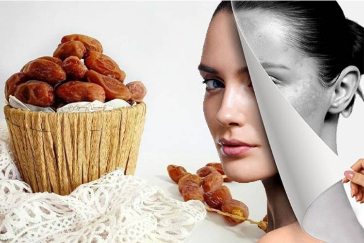خواص هسته خرما - 5 - خواص هسته خرما - خواص مواد غذایی