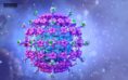 علایم و راه‌های پیشگیری از اسهال ویروسی