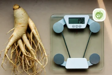 مقاله خواص جینسینگ برای لاغری