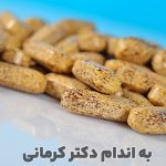 مقاله قرص مخمر آبجو