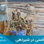 مقاله فروکتان‌های نوع اینولین و اولیگو فروکتوز کاسنی برای تغذیه نوزادان و کودکان کوچک بی‌خطر هستند.