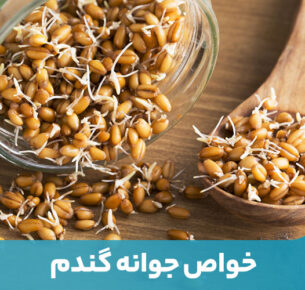 فواید جوانه گندم بسیار زیاد است و ارزش غذایی فوق‌العاده‌ای دارد.