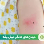 مقاله بهترین راه های درمان نیش پشه در خانه
