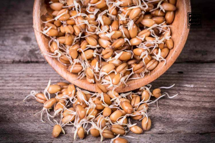 خواص جوانه گندم برای لاغری - - خواص جوانه گندم برای لاغری - رژیم تناسب اندام