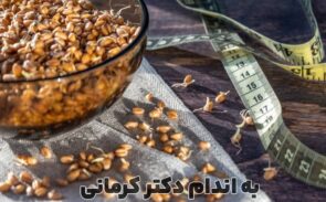 خواص جوانه گندم برای لاغری