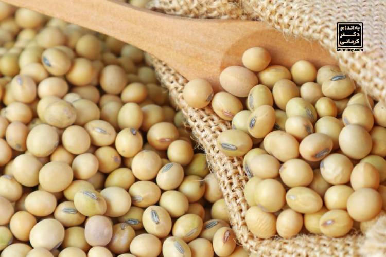 سویا در یائسگی - 3 - سویا در یائسگی - خواص مواد غذایی