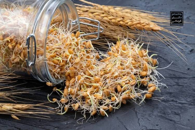 خواص جوانه گندم برای لاغری - 3 - خواص جوانه گندم برای لاغری - رژیم تناسب اندام
