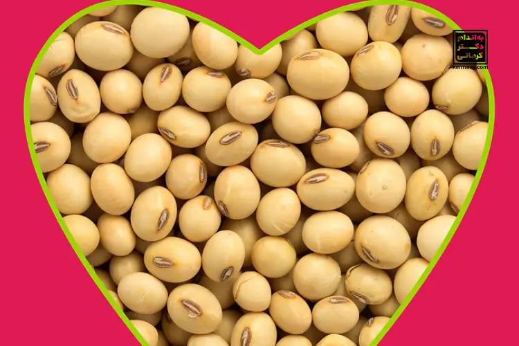 سویا در یائسگی - 2 - سویا در یائسگی - خواص مواد غذایی