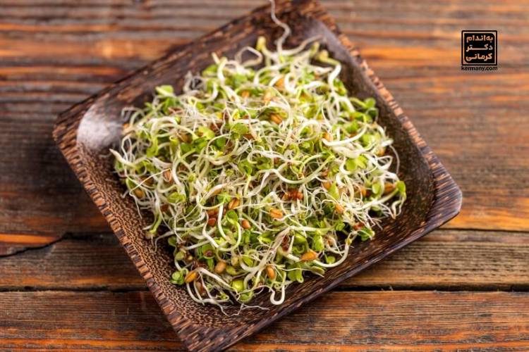 خواص جوانه گندم برای لاغری - 2 - خواص جوانه گندم برای لاغری - رژیم تناسب اندام