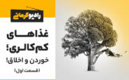 غذاهای کم‌کالری؛ خوردن و اخلاق! قسمت اول
