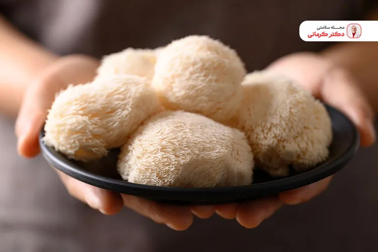 یکی از انواع دمنوش تقویت مغز چای قارچ یال شیر است.