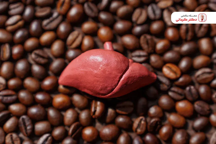 قهوه به دلیل داشتن آنتی اکسیدان بالا موجب کاهش التهاب کبد می‌شود.