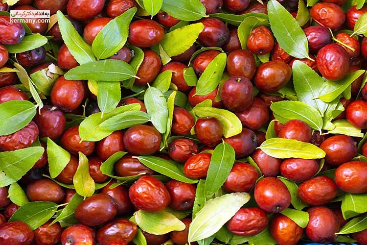 خواص عناب برای لاغری + بهترین روش تهیه دمنوش عناب - 14 - خواص عناب - زندگی رژیمی عناب پودر شده نسبت به میوه یا دمنوش عناب قند بالاتری دارد؛ به همین دلیل به نحوه مصرف آن توجه کنید.