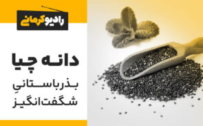 بذر باستانی شگفت انگیز؛ دانه چیا