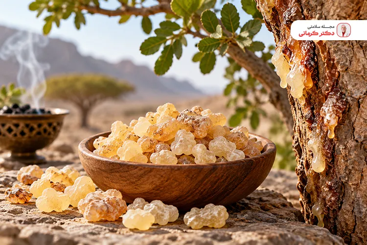 کندر از چی درست می‌شود؟