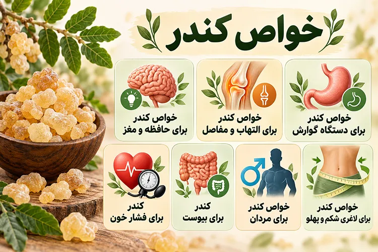 خواص کندر چیست؟