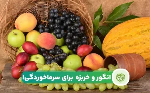 مصرف انگور و خربزه برای سرماخوردگی توصیه می‌شود یا خیر؟