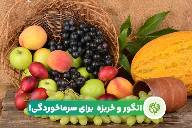 مقاله مصرف انگور و خربزه برای سرماخوردگی توصیه می‌شود یا خیر؟