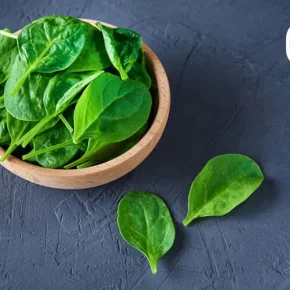 مقاله کالری اسفناج و اثر آن بر لاغری