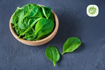 مقاله کالری اسفناج و اثر آن بر لاغری