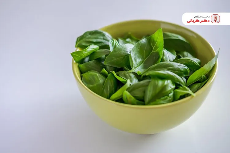 اسفناج را در انواع برنامههای غذایی لاغری میتوانید مصرف کنید.