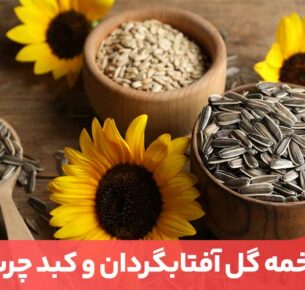 تخمه آفتابگردان دارای مواد مغذی فراوان، از جمله انواع ویتامین‌ها مقدار زیادی فیبر و پروتئین است