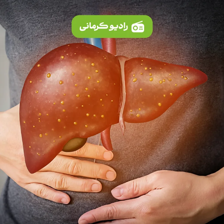 کاور پادکست برای قاتل خاموش؛ کبد چرب و دیگر هیچ!