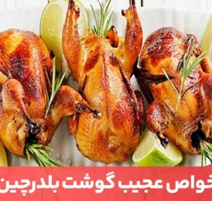 گوشت بلدرچین یکی از بهترین گوشت‌های پرندگان برای خوردن است.