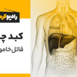 مقاله قاتل خاموش؛ کبد چرب و دیگر هیچ!
