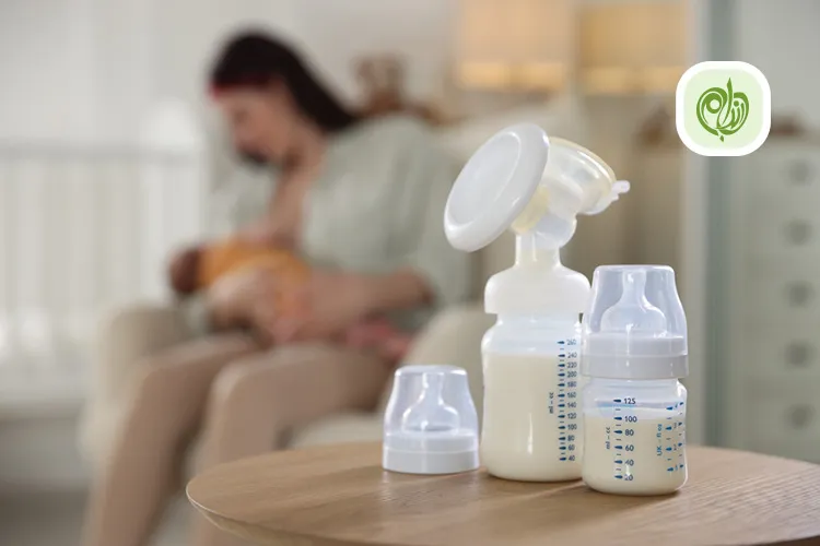 چی بخورم شیرم زیاد بشه؟