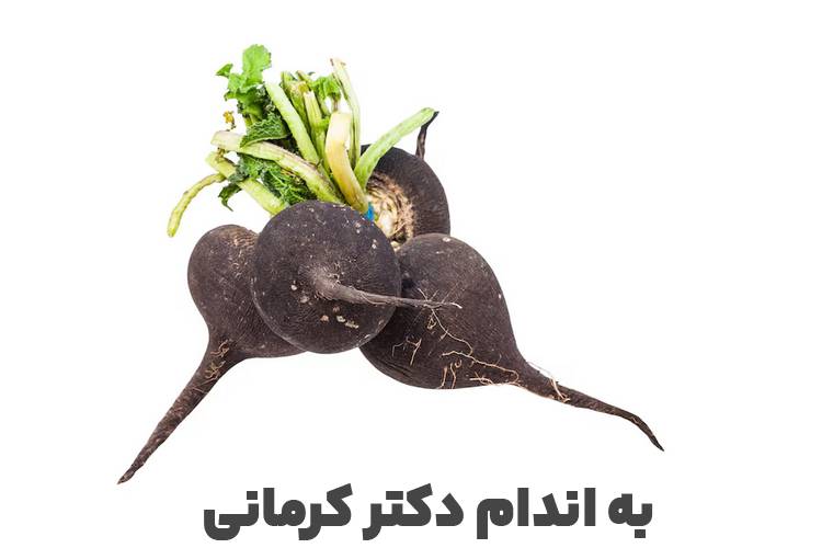 خواص ترب سیاه - - خواص ترب سیاه - خواص مواد غذایی
