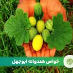 خبر خواص هندوانه ابوجهل چیست؟