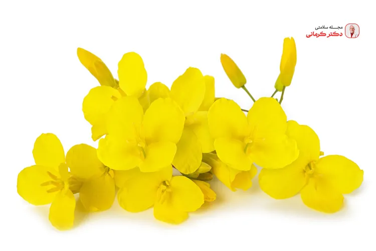 روغن کلزا برای پخت و پز مناسب است.