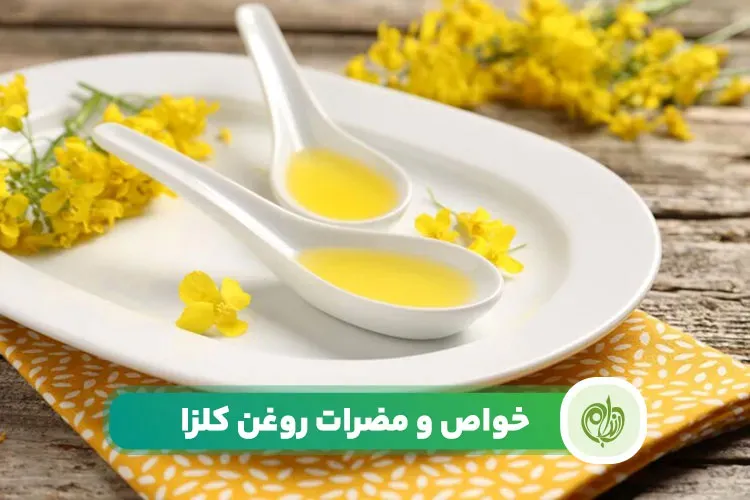 مقاله روغن کلزا فواید متعددی برای سلامتی به ویژه در رژیم لاغری دارد.