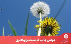 خواص قاصدک طیف وسیعی از بیماری‌ها و مشکلات بدن را در برمی‌گیرد.