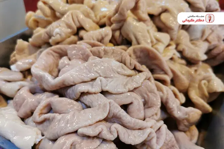 سیرابی اگر درست پخته نشود دچار مشکلات معده خواهید شد.