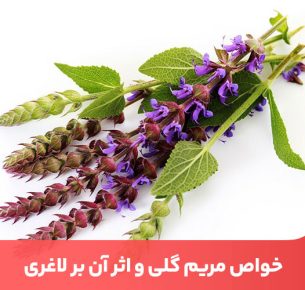 خواص مریم گلی برای طیف گستردهای بیماری‌ها مانند چاقی دیابت مفید و موثر است.