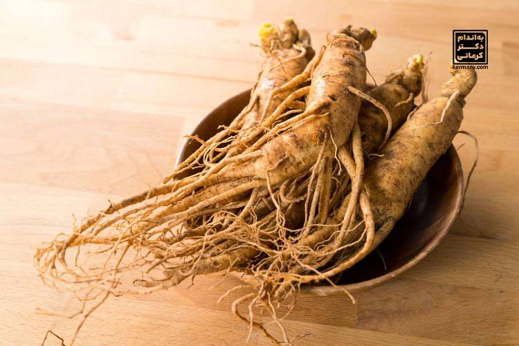 چربی‌ سوزی - 3 - چربی سوزی - رژیم تناسب اندام
