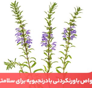 یکی از خواص بادرنجبویه سیرکنندگی و کاهش اشتها و در نتیحه کاهش وزن است.