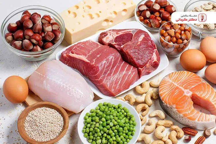 پروتئین ها در رژیم غذایی سالم